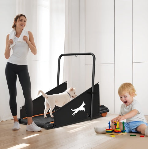 [Premium Quality Men & Women's Fashion, Kids Clothing, Pet Products, Electronics, Auto Gear, Home Decor, Sports & Accessories Online ]-SUNNY SIDE SHOP