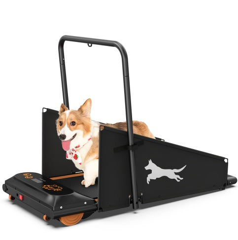[Premium Quality Men & Women's Fashion, Kids Clothing, Pet Products, Electronics, Auto Gear, Home Decor, Sports & Accessories Online ]-SUNNY SIDE SHOP