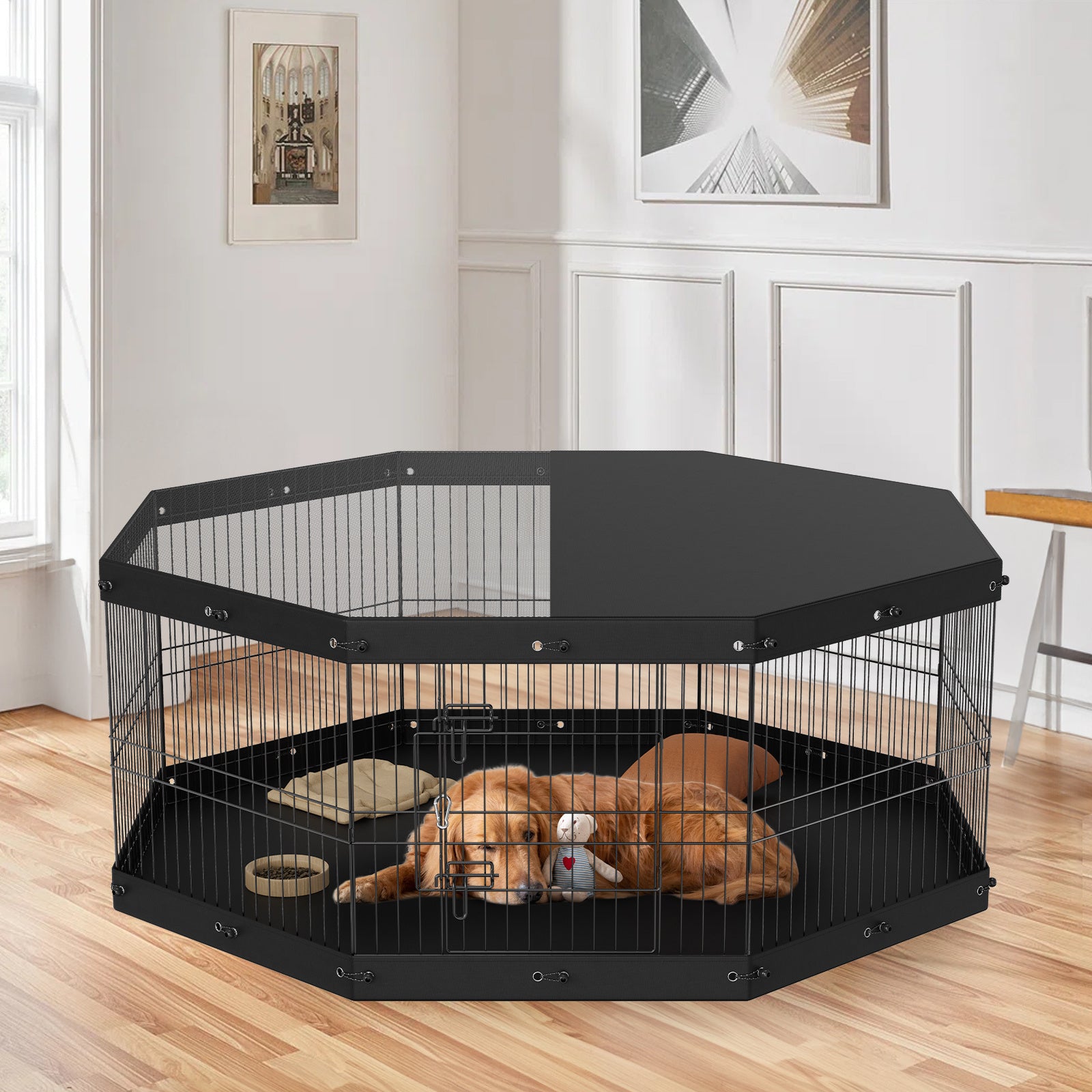 [Premium Quality Men & Women's Fashion, Kids Clothing, Pet Products, Electronics, Auto Gear, Home Decor, Sports & Accessories Online ]-SUNNY SIDE SHOP